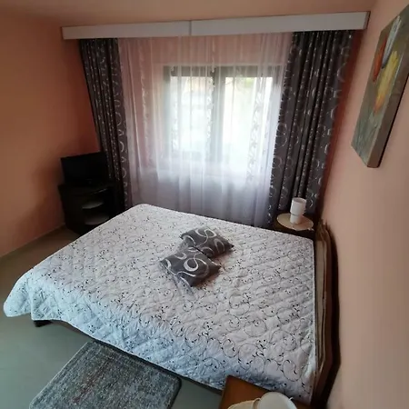 Catia Apartment Calimanesti